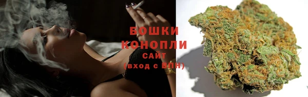 сатива Абаза