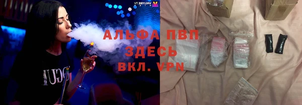 сатива Абаза