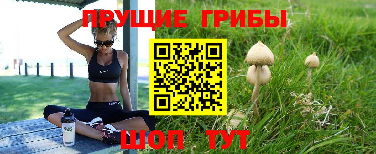 Псилоцибиновые грибы мицелий  Галлюциногенные грибы прущие грибы  Александров  Вход с VPN 